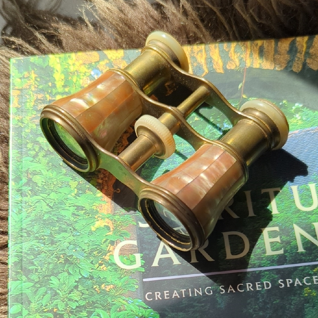 Vintage Opera Glasses With Mother Of Pearl